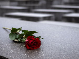 Фото із мережі Інтернет