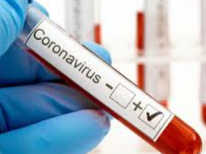 Фото из сети Интернет 