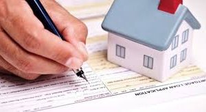 Фото з відкритих джерел