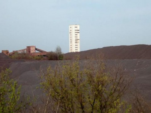 Фото из сети Интернет