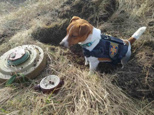 Фото із мережі інтернет