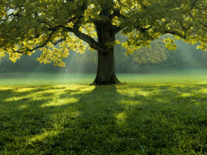 Зображення від wirestock на Freepik