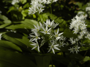 Фото з відкритих джерел