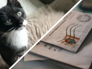 Фото з мережі інтернет 