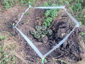 Фото пресслужби 21-ої окремої бригади охорони громадського порядку імені Петра Калнишевського