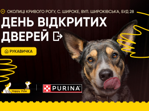 Майже 200 хвостатих чекають на свій дім: у Кривому Розі влаштують День відкритих дверей у притулку