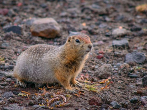 Фото: Depositphotos