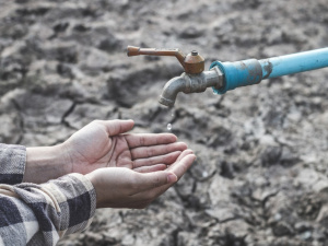 Фото з мережі інтернет