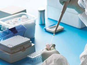 Фото из сети Интернет