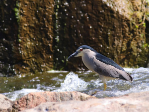 Фото Віктора Севідова