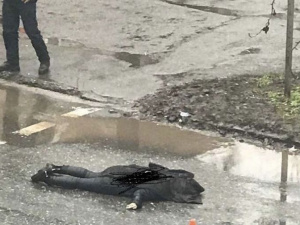 Фото очевидцев происшествия