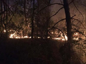 Фото пресс-службы ГСЧС Днепропетровской области