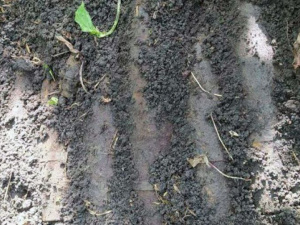 Фото пресс-службы ГСЧС Днепропетровской области