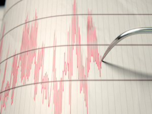 Фото з відкритих джерел