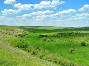 Погода на тиждень - фото ілюстративне з відкритих джерел 