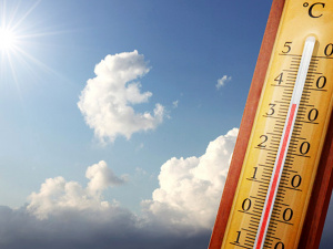 Фото з відкритих джерел