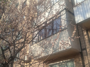 Весна у Кривому Розі, фото редакції 