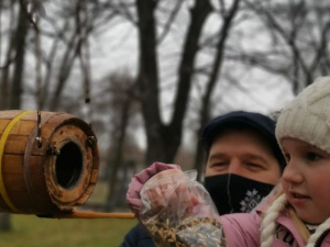 У парку Мершавцева з’явились нові домівки для пташок
