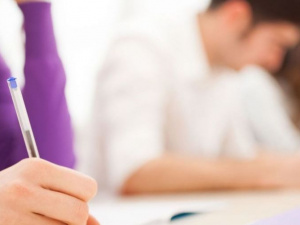 Педагогів криворізької мистецької школи навчать працювати з особливими учнями