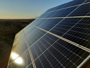 Фото з відкритих джерел