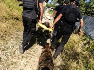 Зірвався з берега і не міг піднятися дві доби: на Криворіжжі врятували 69-річного чоловіка