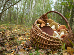 Жовтень 2025 в Україні: коли працюємо, а коли святкуємо - фото з відкритих джерел