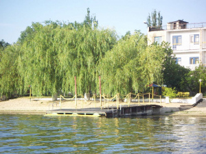 Фото пресслужби АМКР