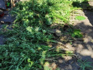 Фото пресс-службы полиции Днепропетровской области