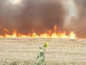 Вчора у Криворізькому районі горіли поля