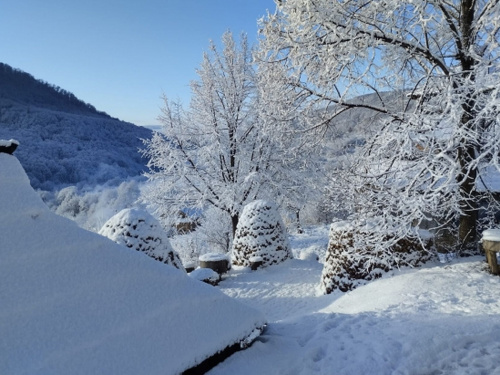 Фото ілюстративне з відкритих джерел     