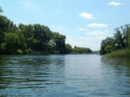 В Кривом Роге провели исследование проб воды реки Саксагань - результаты удивят