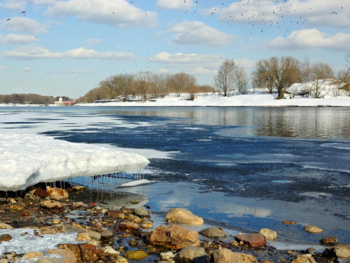Теплий січень - фото з відкритих джерел