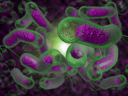 Фото Дніпропетровського обласного ЦКПХ