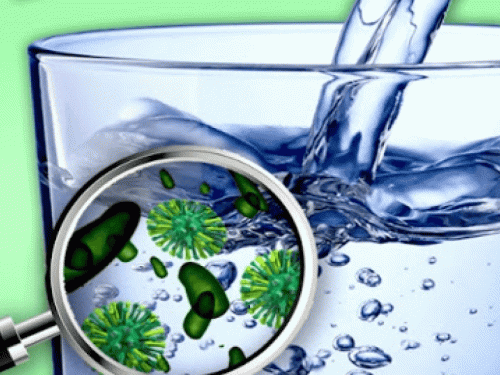 Фото з відкритих джерел