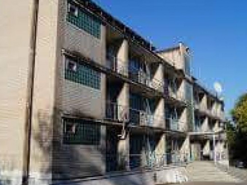 Новое дыхание турбазы "Окунь": криворожский Комитет солдатских матерей занимается обустройством (фото)