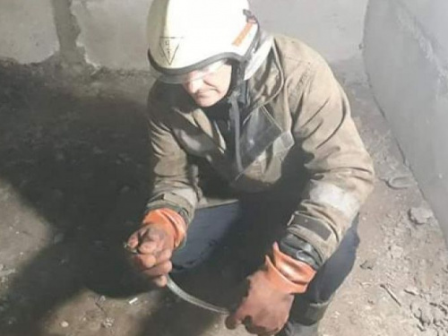 Под Кривым Рогом в детском саду спасатели ловили змею (фото)