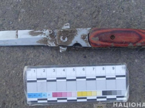 В Кривом Роге собака выдала прятавшегося в кустах вора