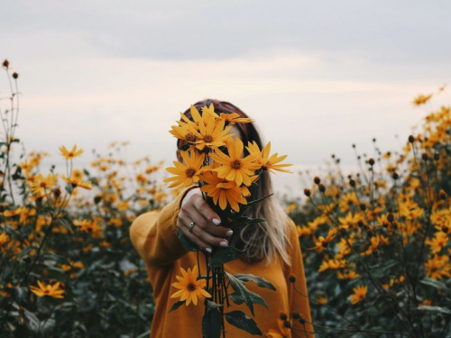 Жовтий не означає прощання: вся правда про символіку квітів - фото з відкритих джерел