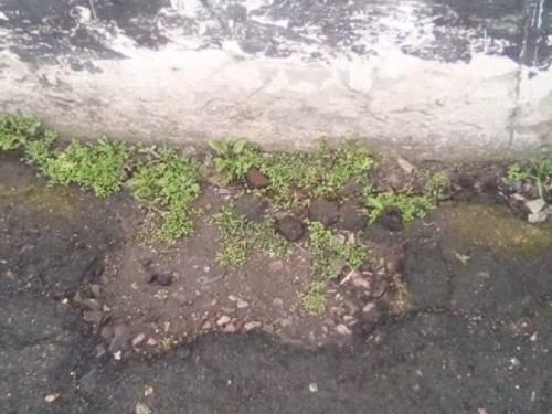 Криворожан просят помочь с материалами для ремонта детского дома для детей-сирот