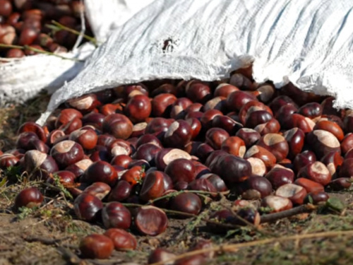 Фото Суспільне Дніпро