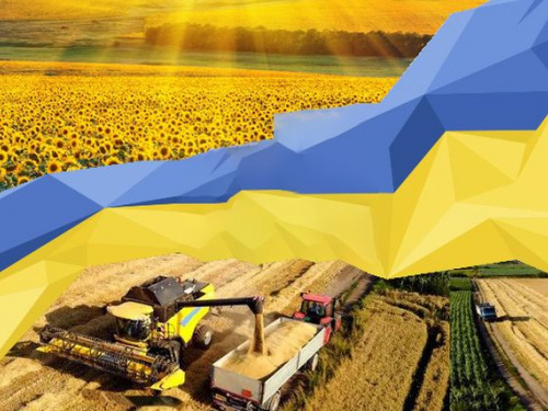 Врожай, фото з відкритих джерел 