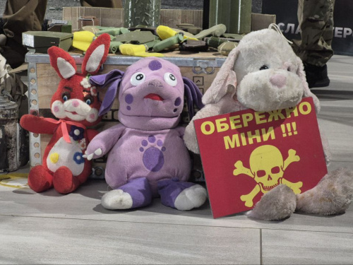 «Все, що ви тут бачите - несе смерть»: у Кривому Розі ветерани провели навчання з протимінної безпеки - фото