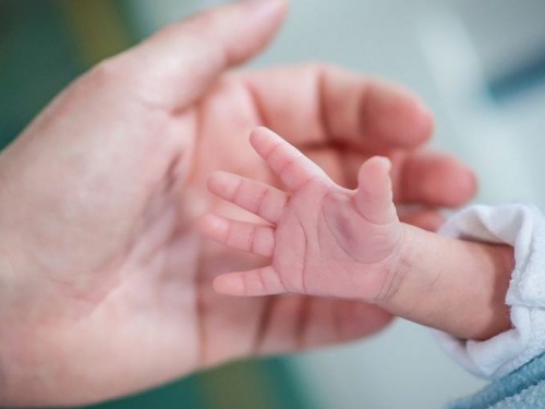 Подгузники за счет города: в Кривом Роге семьям с детьми-инвалидами выплатят целевую материальную помощь