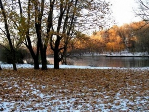 25 листопада, фото з відкритих джерел 