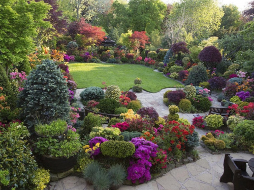 Осіння посадка: які цибулинні квіти варто висадити у жовтні - фото з відкритих джерел