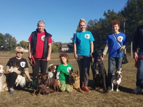 В Кривом Роге появились квалифицированные собаки-визитеры, помогающие людям