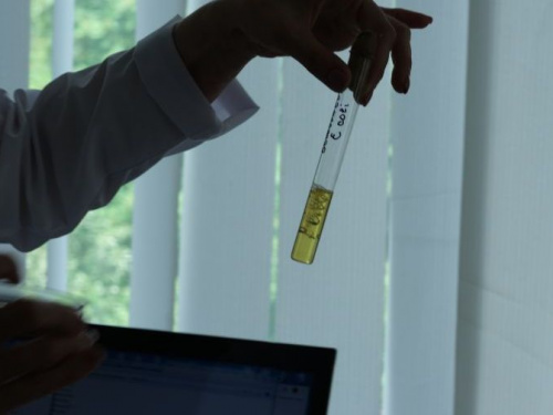 Фото редакції krivbass.city