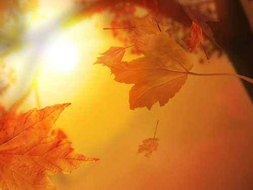 Погода в Кривом Роге на выходные: как долго продлится теплая осенняя сказка