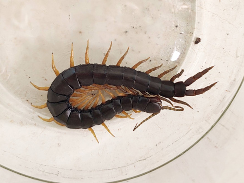 Фото спільноти "Природа Криворіжжя"