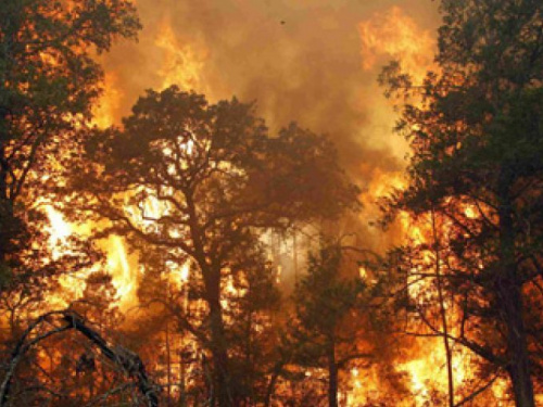 По Днепропетровской области ожидаются стихийные погодные условия